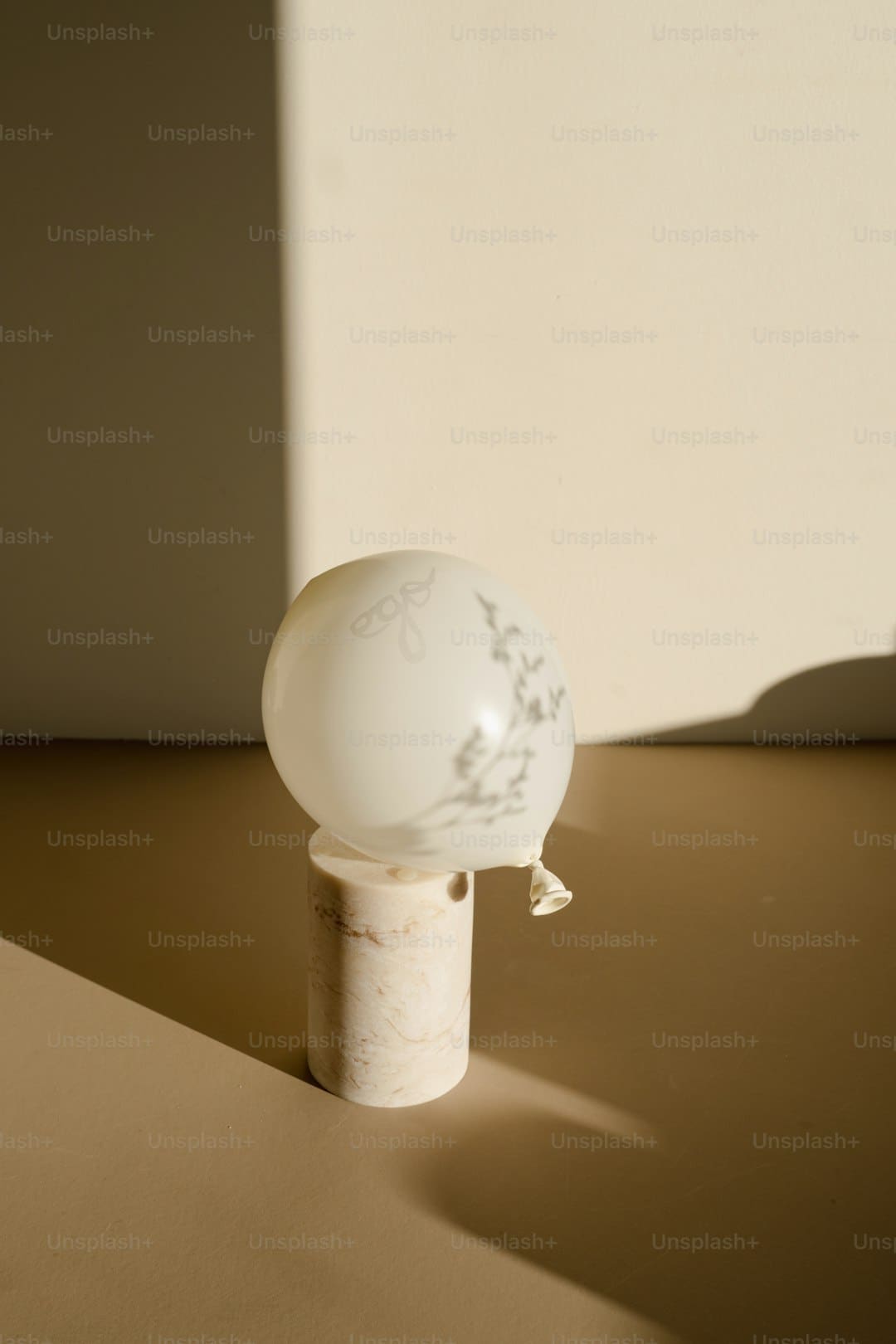 引领轿车加快向具身智能进化 吉祥轿车集团携阶跃星斗联合参展2025国际人工智能大会